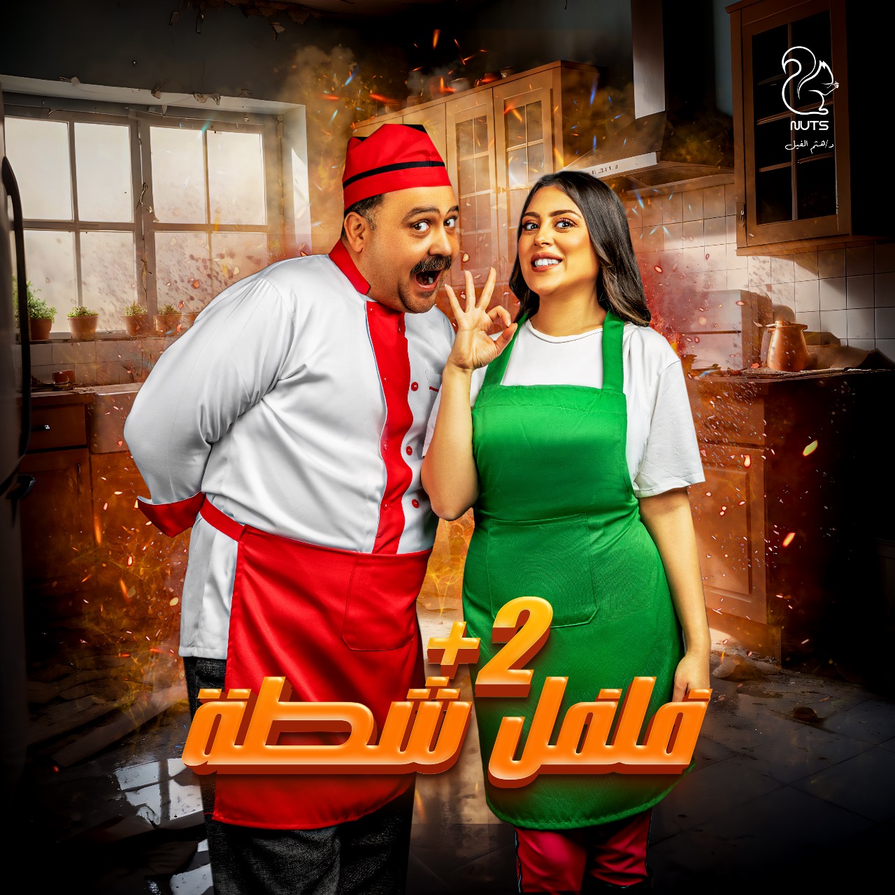 جانب من البرامج