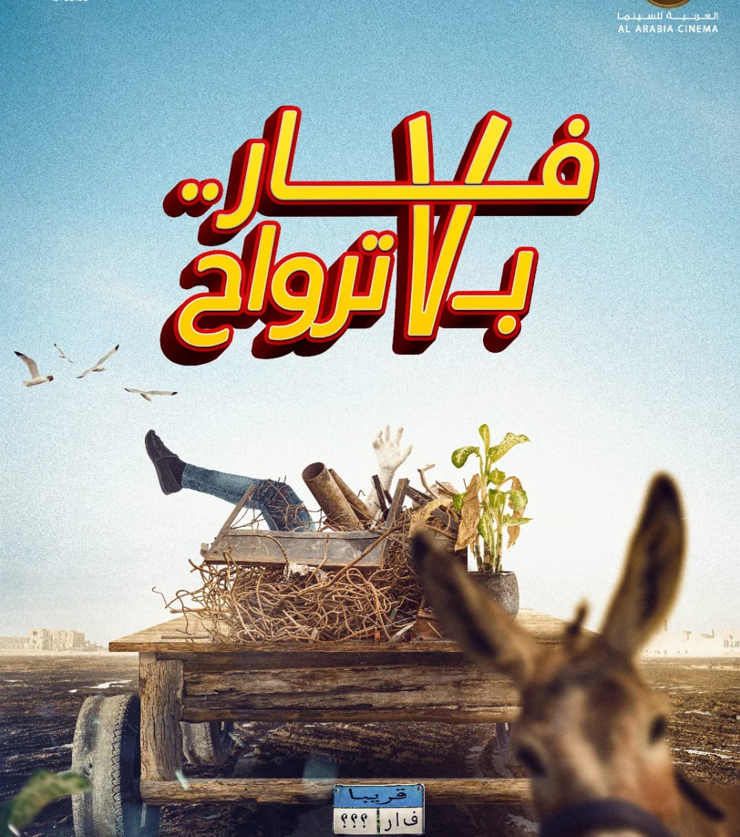 سينمات العيد تستقبل أقوى الأفلام.. تعرف على القائمة الكامله 