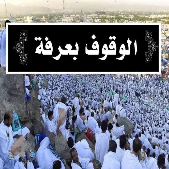 الركن الأعظم من الحج 