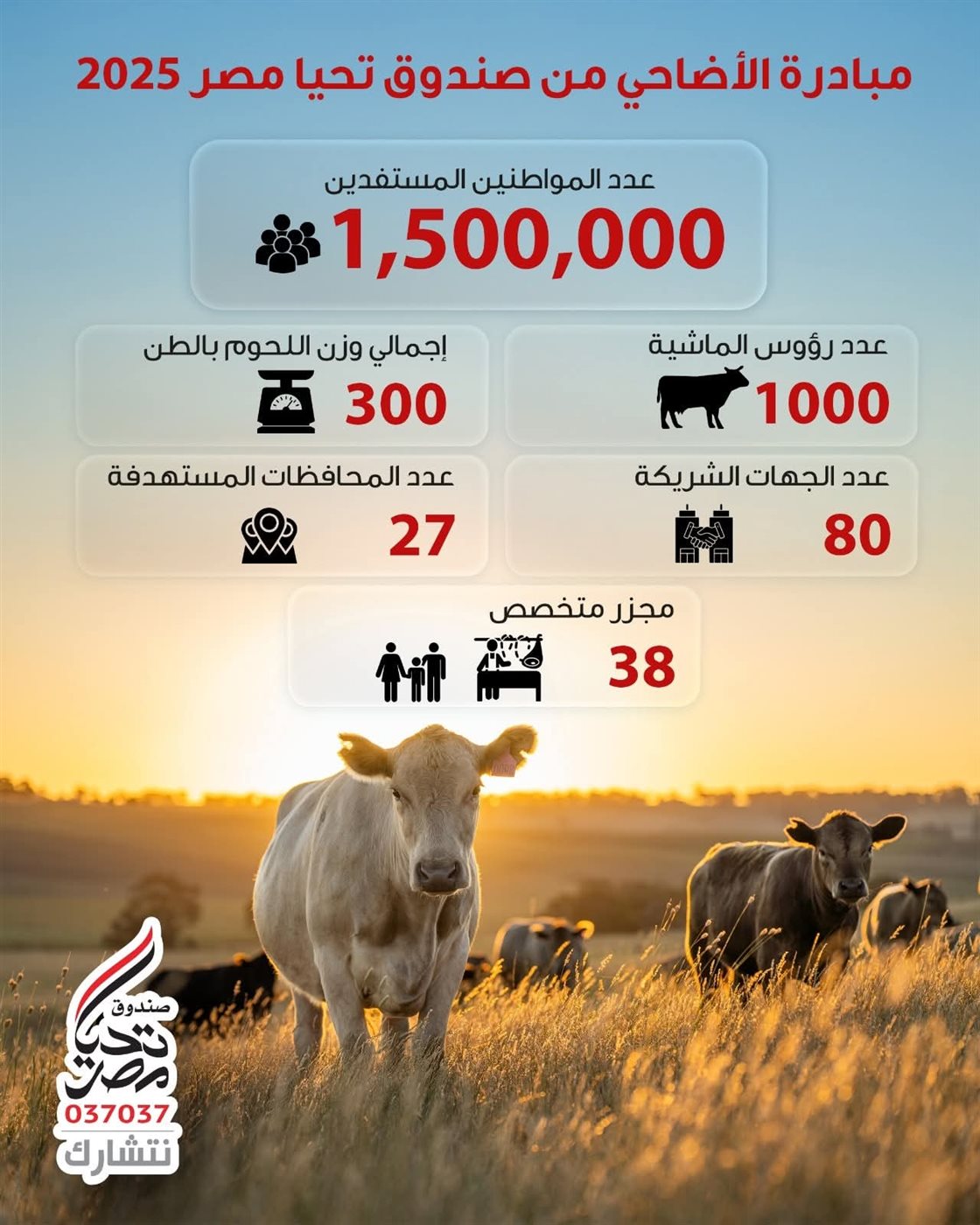 مبادرة تحيا مصر في عيد الأضحى