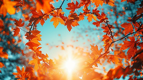 أمراض فصل الخريف.. احذر تقلبات الطقس واحمِ نفسك بهذه الخطوات البسيطة