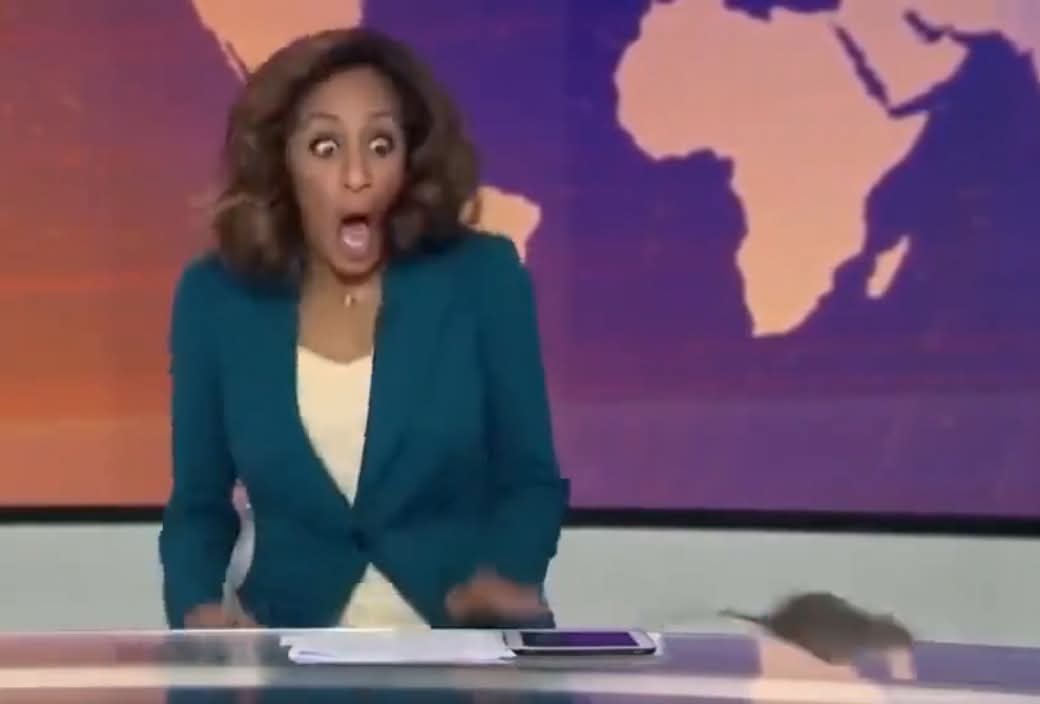 <strong>فأر يقتحم استوديو الجزيرة الإنجليزية على الهواء مباشرة ويصنع ضجة في بريطانيا</strong>