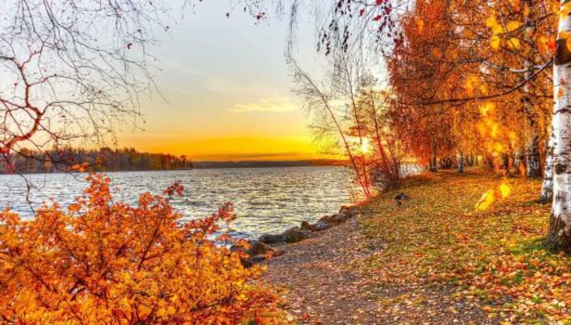 <strong>الخريف.. فصل الجمال والتأمل بين ألوان الطبيعة وتغير الأجواء</strong>