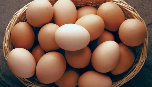 فوائد البيض المذهلة وطرق مبتكرة لتحضيره على مائدتك اليومية