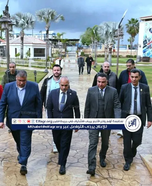 مكتبة دمنهور