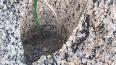 أهم أخبار السعودية اليوم .. نُزهة برية تكشف متفجرات مهملة في العراء شرق مكة