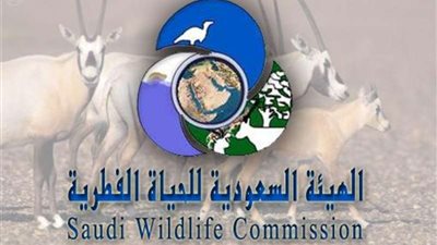 غرامة تصل لـ٥٠ ألف ريال لمن يصطاد في المحميات