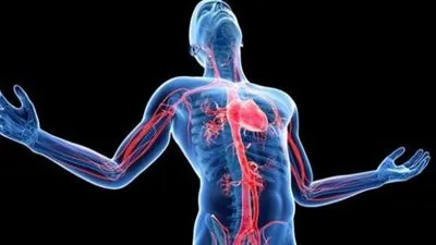 7 أسباب تؤدى إلى زيادة ضربات القلب 