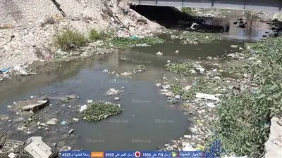 انخفاض ملحوظ في منسوب مياه ترعة المحمودية  بالإسكندرية (صور)