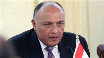 شكري يستقبل المرشحة النيوزيلاندية لمنصب سكرتير عام الأمم المتحدة