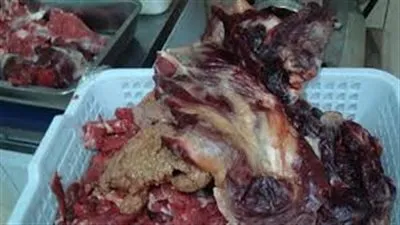 ضبط طن أسماك منتهية الصلاحية داخل احدى الثلاجات بالعبور