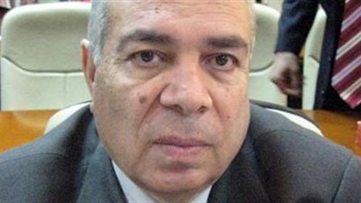 المستشار الزراعي لمحافظة بورسعيد: حل مشكلة نقص مياه الري خلال أيام