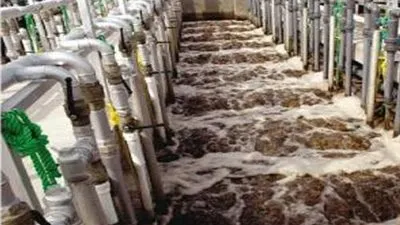 قطع المياه عن مناطق بالتجمع والرحاب من مساء الجمعة وحتى صباح السبت  