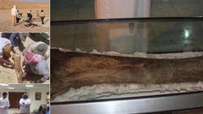 الأمير سلطان يعلن العثور على عظمة بشرية عمرها 90 ألف سنة  