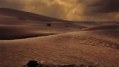 تعرف على  أسماء الأيام في الجاهلية