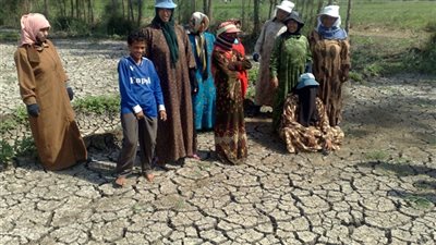 خبراء يحذرون: مصر على أبواب كارثة 