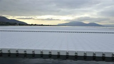 نصف مليون شخص يقومون بـ