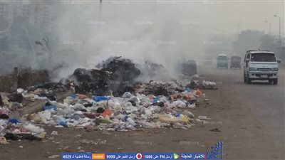 أهالي حجر النواتية بالإسكندرية يتخلصون من تلال القمامة في الشوارع بحرقها (صور)