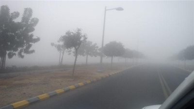 ما هي الرطوبة ؟ 