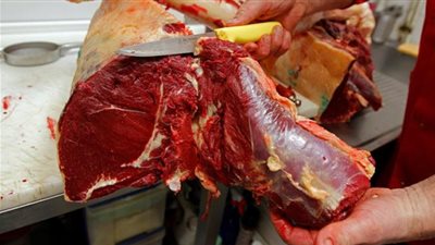  القبض على جزار بالمنوفية عقب ذبحه 3 حمير