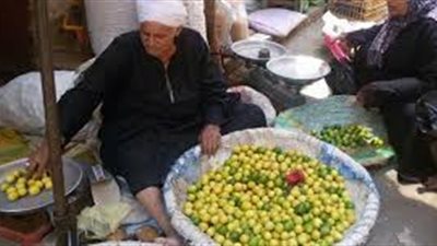 الليمون يسجل 40 جنيهًا في أسواق الإسماعيلية 
