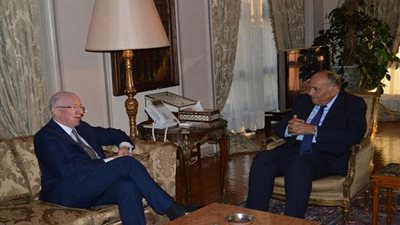 وزير الخارجية يستقبل نظيره الأيرلندي لبحث دعم العلاقات بين البلدين