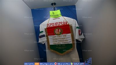 يورو 2016 - التشكيلة الرسمية لموقعة المجر وأيسلندا