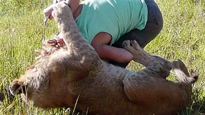 إمراة أمريكية تتصدي لـ 