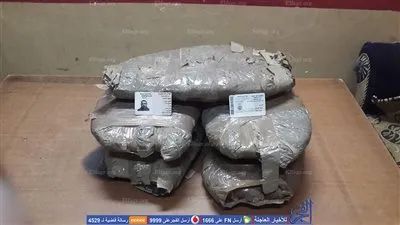 ضبط 12.5 كيلو بانجو داخل عربية ربع نقل في الشرقية (صور)