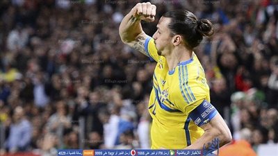 إبراهيموفيتش يعلن إعتزاله بعد اليورو