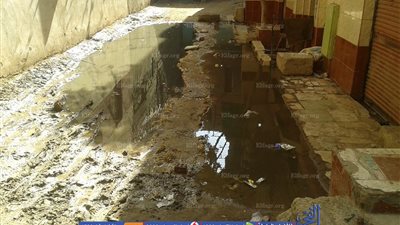 غرق شارع بالجيزة.. ومكتب المحافظ للأهالى: 