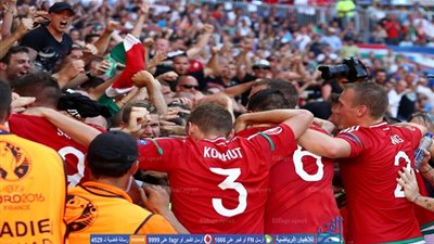 بالفيديو.. المجر لا ترحم وتلدغ البرتغال بالهدف الثالث - يورو 2016