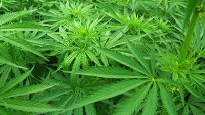 معلومات شيقة عن 