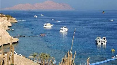 رحالة بريطانية ينصح سائحي  بلاده بالسفر إلى مصر 