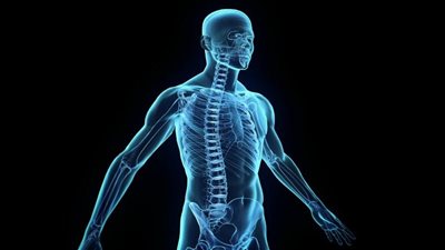 معلومات هامة عن جسم الانسان تعرف عليها؟!