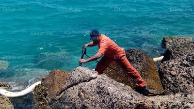 محاولات للقضاء على البقع الزيتية من الشواطئ السياحية بالبحر الأحمر
