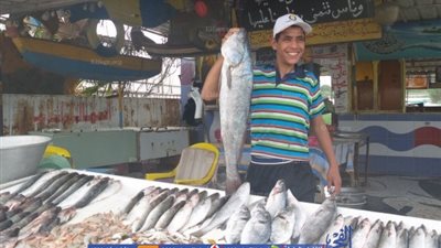 ارتفاع أسعار الأسماك بالإسماعيلية.. والمواطنون يطالبون بتشديد الرقابة