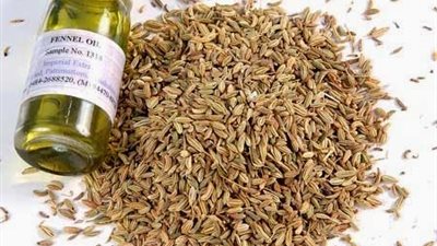 تعرف علي فوائد الشمّر وأهميته للتخسيس  