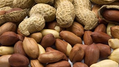 تراجع صادرات الفول السوداني بنسبة 12% خلال 9 أشهر