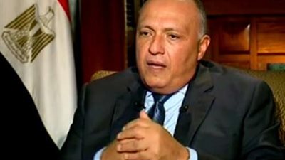 أستاذ علوم سياسية تكشف أسباب زيارة وزير الخارجية المصري لإسرائيل