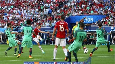 بالفيديو.. الجماهير تختار أفضل هدف في يورو 2016