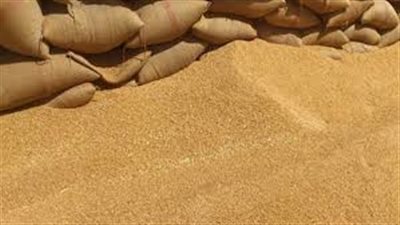 أستاذ بحوث زراعية: الشعب المصري يتعرض لـ سرطنة ممنهجة