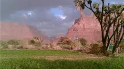 توجيه بإيقاف خدمات 60 مواطناً بتبوك لهذا السبب