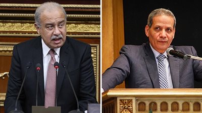 الأحد.. 7 وزراء يرافقون 