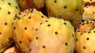 تعرف علي فوائد 