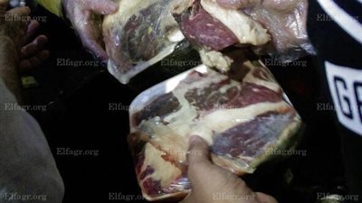 محافظ الدقهلية يقرر غلق مطعم بعد ضبط لحوم وأغذية فاسدة (صور)