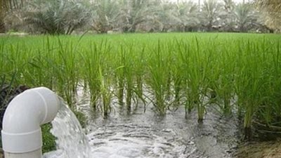 الفاو: مصر تواجه نقصا في المياه وحصة الفرد تنخفض عن حد الفقر المائي