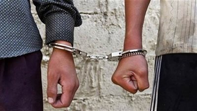 أمن كفرالشيخ يضبط مرتكب واقعة مقتل دكتورة تحاليل طبية