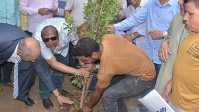 محافظ البحيرة: تكثيف أعمال النظافة بمحيط وداخل مستشفى 