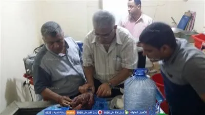 ضبط 56 كيلو لحوم و100 كيلو سمك منتهية الصلاحية في مطروح